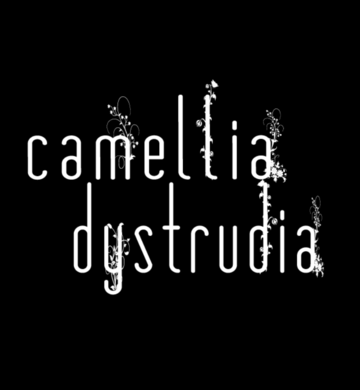 camellia dystrudia